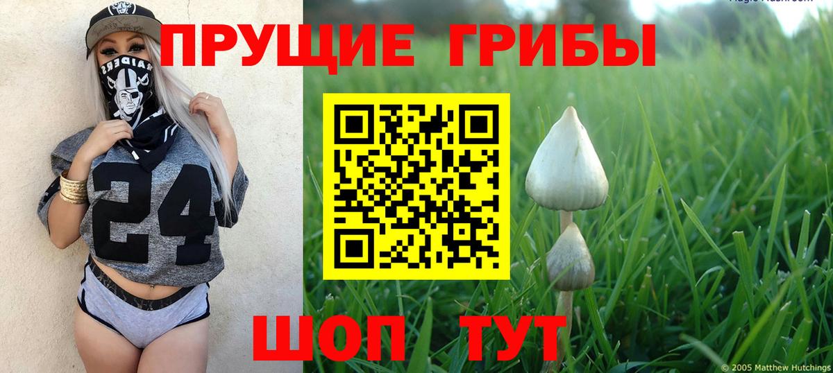 Псилоцибиновые грибы ЛСД Симферополь